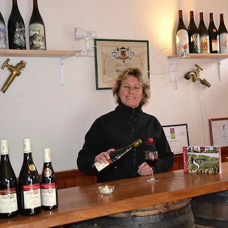 Domaine Du Barvy Odenas